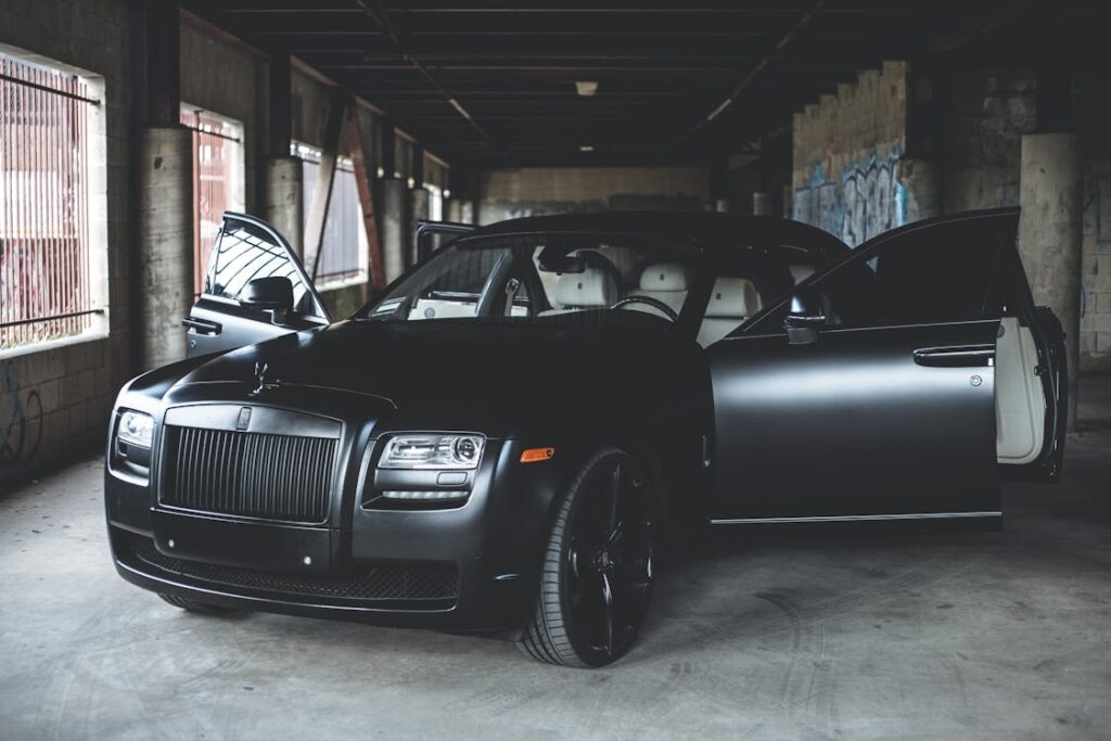 Pet-friendly chauffeur services in London