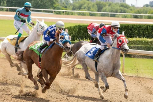 Chauffeur Service for Horse Racing and Competitions in London